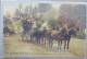 USA FAR WEST NEW HAMPSHIRE WHITE MOUNTAINS TALLY HO STAGE CARD POSTCARD CARTE POSTALE POSTKARTE CARTOLINA ANSICHTSKARTE - Long Beach