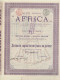 Titre De 1899 - Société Anonyme AFRICA - - Africa