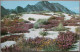 USA SPRING TIME DESERT FLOWER VERBENAS KARTE CARD POSTCARD CARTE POSTALE POSTKARTE CARTOLINA ANSICHTSKARTE - Long Beach