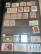 Delcampe - Germany, Big Album Full Of Stamps And Blocks - Sammlungen (im Alben)