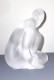 Delcampe - LALIQUE : Sculpture Vénus Nue En Cristal Incolore Aspect Dépoli - Vetro & Cristallo