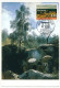 FRANCE - Carte Maximum - 4,40 Barbizon - 77 Barbizon 30/9/1995 - 1990-1999