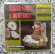 Bp96  View Master Rocce E Minerali  21 Immagini Stereoscopiche Vintage - Stereoscoopen