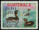 ** GUATEMALA - Poste Aérienne - 452, Type Non émis (chiffre 9 Rayé): 9c. Canard Zambulidor - Guatemala