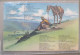 USA FAR WEST COWBOY LIFE HORSE DESERT CATTLE KARTE CARD POSTCARD CARTE POSTALE POSTKARTE CARTOLINA ANSICHTSKARTE - Long Beach