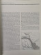 Delcampe - Neuburg An Der Donau. Archäologie Rund Um Den Stadtberg. - 4. 1789-1914