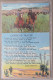 USA FAR WEST WAGON COWBOY PRAYER RANCH CATTLE KARTE CARD POSTCARD CARTOLINA CARTE POSTALE POSTKARTE ANSICHTSKARTE - Long Beach