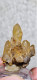 Delcampe - Quarzo "citrino" Quarzo Con Ossidi Di Ferro  6,44gr 3,3cm - Minéraux
