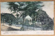 Honduras - AMAPALA - Parque Morazan - Publ. J. Rössner & Co. - Honduras