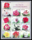 Delcampe - 2010 Bangladesh Full Year Set Pack Collection 15 Stamp 8 MS Scout Buddha Cricket Flower Tiger Elephant Bird Women FREE S - Bangladesch