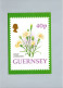 Guernsey : Spray Carnation - Guernsey