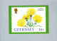 Guernsey : Standard Carnation - Guernsey