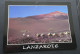Lanzarote - Montanas Del Fuego - Beate Timm/Lanzarote - Foto Richard Maslonka - # OBS 49562 - Lanzarote