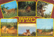 KENYA - PICTURE POSTCARD 1981 - KARLSRUHE/DE / 5123 - Kenia (1963-...)