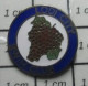 1417 Pin's Pins / Beau Et Rare / SPORTS / NATATION GRAPPE DE RAISIN LODI CITY SWIM CLUB - Schwimmen