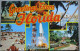 USA UNITED STATES FLORIDA MULTI VIEW PANORAMA KARTE CARD POSTCARD CARTE POSTALE ANSICHTSKARTE CARTOLINA POSTKARTE - Atlanta