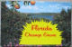 USA UNITED STATES FLORIDA ORANGE GROVE PANORAMA KARTE CARD POSTCARD CARTE POSTALE ANSICHTSKARTE CARTOLINA POSTKARTE - Atlanta