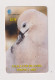 FALKLAND ISLANDS - Albatross Chick Remote Phonecard - Islas Malvinas
