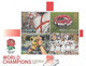 GB - 2003  World Rugby Champions  MINISHEET  FDC Or  USED  "ON PIECE" - SEE NOTES  And Scans - Oblitérés