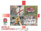 GB - 2003  World Rugby Champions  MINISHEET  FDC Or  USED  "ON PIECE" - SEE NOTES  And Scans - Usados