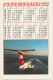 Pocket Calendar Taschenkalender DDR East Germany Interflug 1989 1990 Vintage Old Pocket Calendar - Petit Format : 1981-90