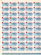 1962 - Sports Nautiques  FULL X 50 NON DANTELE - Full Sheets & Multiples