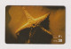 UNITED ARAB EMIRATES - Starfish Remote Phonecard - Ver. Arab. Emirate