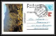 1732/ Afrique Du Sud (RSA) Entier Stationery Carte Postale (postcard) 1971 Pour Berne Suisse (Swiss) - Brieven En Documenten