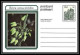 1735/ Afrique Du Sud (RSA) Entier Stationery Carte Postale (postcard) Fleurs Flowers Erica Neuf Tb  - Brieven En Documenten