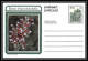 1741/ Afrique Du Sud (RSA) Entier Stationery Carte Postale (postcard) Fleurs Flowers Erica Neuf Tb  - Lettres & Documents