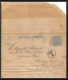 4094/ Argentine (Argentina) Entier Stationery Bande Pour Journal Newspapers Wrapper N°9 Taxé  - Entiers Postaux