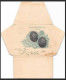 4134/ Argentine (Argentina) Entier Stationery Enveloppe (cover) 5C VERT 1902 - Postwaardestukken