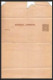 4212/ Argentine (Argentina) Entier Stationery Bande Pour Journal Newspapers Wrapper N°8 1889 Neuf (mint)  - Postwaardestukken