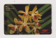 SINGAPORE - Flowers Orchids GPT Magnetic Phonecard - Singapur