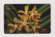 SINGAPORE - Flowers Orchids GPT Magnetic Phonecard - Singapour