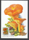 Hungary, Maximum Card, Toxic Mushrooms(Toadstools), Omphalotus Olearius,1986. - Maximumkarten (MC)