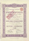 Titre De 1899 - Compagnie Générale Des Philippines Pour Le Développement Du Commerce Et De L'Industrie - - Azië