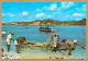 SEYCHELLES PRASLIN 1980 N°H214 - Seychelles