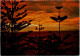 11-2-2024 (3  X 53) Australia - Norfolk Island - Pine Tres In Sunset - Norfolk Island