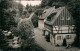 Kleinhennersdorf-Gohrisch (Sächs. Schweiz) Waldidyll Liethenmühle 1965 - Kleinhennersdorf