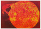 Delcampe - 20 Cartes Modernes Thème Astronomie - Système Solaire, Nébuleuses, Galaxies, Pléiades... 17 CPM Observatoire Strasbourg - Sterrenkunde
