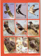 Playing Cards 52 + 2 Jokers. Wild Birds Of Poland.  Poland - 2022. - 54 Kaarten