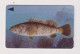 BAHRAIN - Fish GPT Magnetic  Phonecard - Bahrein