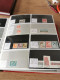 Delcampe - Denmark Collection Dealers 2 Display Book Postfris** - Collections (en Albums)