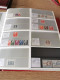 Delcampe - Denmark Collection Dealers 2 Display Book Postfris** - Sammlungen (im Alben)