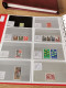 Delcampe - Denmark Collection Dealers 2 Display Book Postfris** - Sammlungen (im Alben)