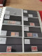 Delcampe - Denmark Collection Dealers 2 Display Book Postfris** - Collections (en Albums)