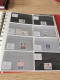 Delcampe - Denmark Collection Dealers 2 Display Book Postfris** - Collections (en Albums)