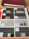 Delcampe - Denmark Collection Dealers 2 Display Book Postfris** - Sammlungen (im Alben)