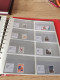 Delcampe - Denmark Collection Dealers 2 Display Book Postfris** - Collections (en Albums)